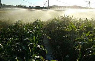 Bayburt’ta 2019 yılı sulama sezonunda 73 bin 50...