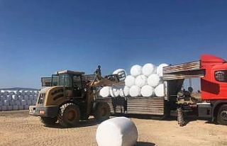 Besiciler silaj ihtiyacını Aslanapa ilçesinden...