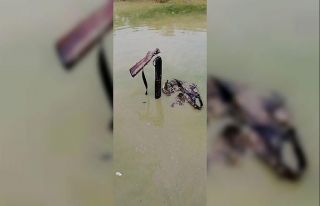Bilinçsiz avlananlara kızan avcı tüfeğini suya...