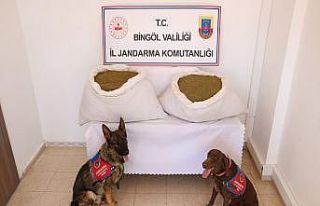 Bingöl’de uyuşturucudan 109 şüpheli tutuklandı