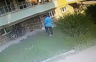 Biri gözcülük yaptı diğeri çaldı