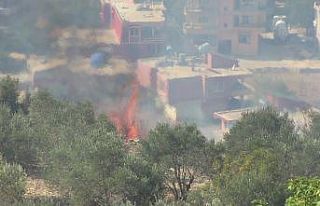 Bitki örtüsü yangını korkuttu