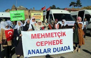 Bitlisli kadınlar, annelere destek için Diyarbakır’a...