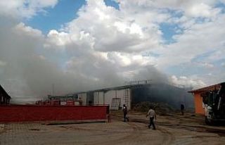 Bolvadin’de çiftlik yangını