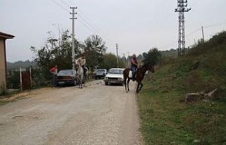 Bozuk yollara atlı çözüm