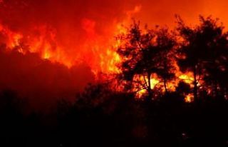 Bursa’daki orman yangınının bilançosu havadan...