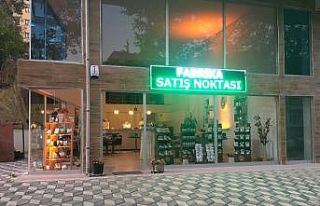 Çam kahvesinden sonra çam kolonyası üretti