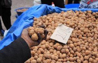 Ceviz kalp damar sağlığını korur