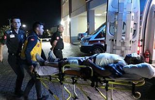 Çobanların kavgası kanlı bitti