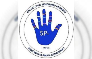 Cri du Chat Derneği üyeleri, çocuklarının yaşam...