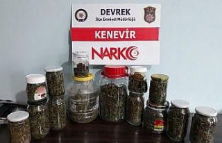 Devrek’te 1 kilo 320 gram kenevir ele geçirildi