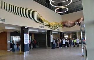 Diş Hekimliği Fakültesine "sanatsal"...