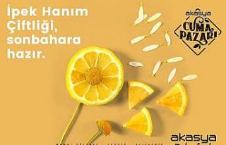 Doğal ürünler tüketiciyle buluşuyor