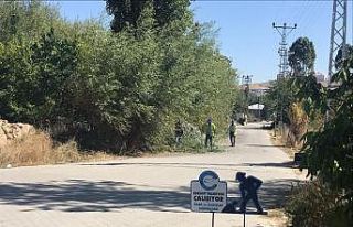 Edremit’te kuru ve tehlike arz eden ağaçlar budanıyor