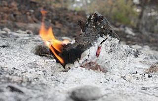 Erdemli’de 10 hektar kızılçam ormanı yandı