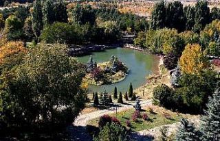 Erzurum’da sonbaharın eşsiz manzarası büyülüyor