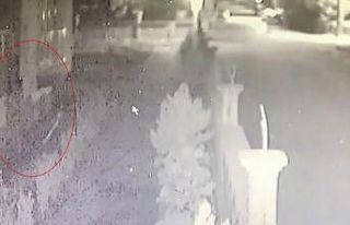 Eve tırmanarak giren hırsız yakalandı