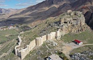 Fethi mümkün olmayan kale: Divriği Kalesi