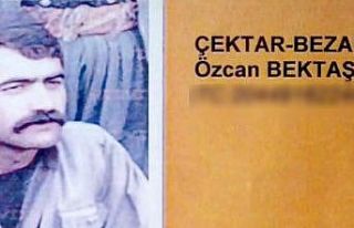 Gri listede 300 bin TL ödülle aranan terörist öldürüldü