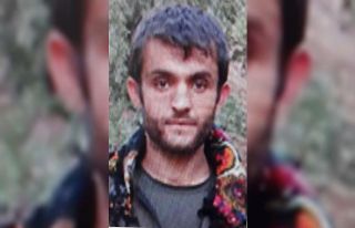 Gri listede aranan terörist etkisiz hale getirildi