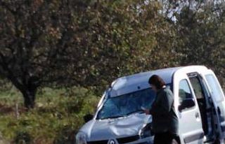 Hafif ticari aracın çarptığı geyik telef oldu