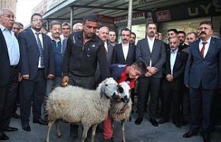 Harekata katılan Mehmetçik için kurban kesildi,...