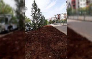 Hedef yeniden yeşil Bağlar