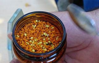 İçinde 70’e yakın vitamin olan şifa kaynağı...