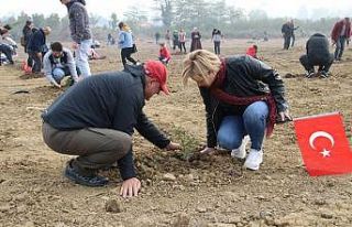 İşçiler, yaşanabilir Düzce için adım attı
