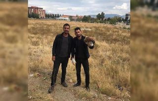 Isparta’da yaralı halde bulunan ’Kızıl Şahin’...