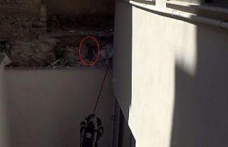 İtfaiye erleri kediyi kurtarmak için uzun süre...