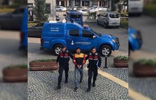 Jandarma hırsızı ağaç kovuğunda yakaladı