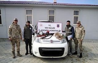 Jandarmadan ’Gece far’ avcılarına operasyon