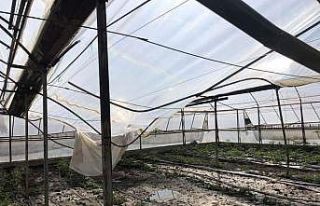 Kaş’ta sağanak yağış seralara zarar verdi