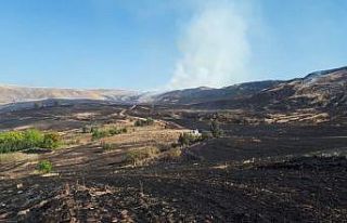 Kırıkkale’de bin dönümlük arazide anız yangını