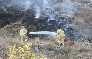 Kırşehir’de 100 dönüm arazi küle döndü