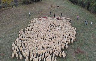 Koç katım töreni renkli görüntülere sahne oldu