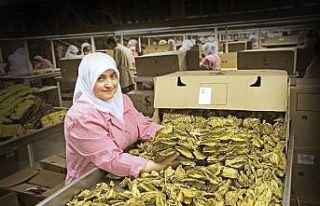 İhracatı üç haneli rakamlara ulaştı