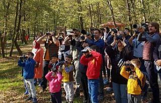 Kuş gözlemcileri Ormanya’da buluşacak