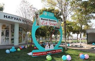 Manisa’da Hayvan Bakım Evi’nin telefon numarası...