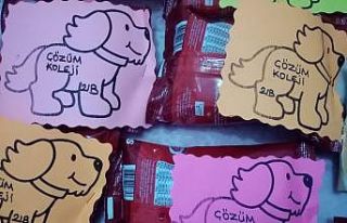 Minik öğrencilerden sokak hayvanlarına dostluk...