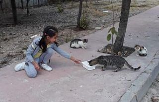 Minikler, 4 Ekim Dünya Hayvanları Koruma Günü’ne...