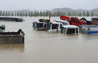 Mitag tayfununda ölü sayısı 10’a yükseldi