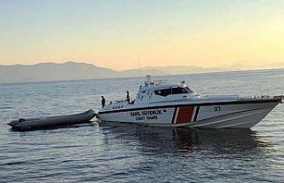 Muğla’da 80 düzensiz göçmen yakalandı