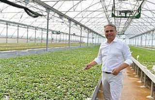 Muratpaşa bahçe bitkileri üretip satacak