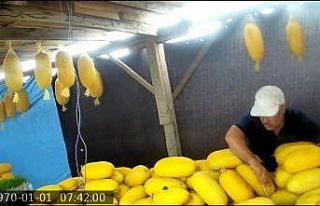 Ne yaptığını öğrenince çok şaşıracaksınız