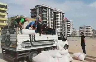 Odun talaşının altında 254 kilo esrar bulundu