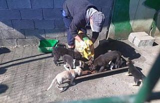 Öğrencilerden örnek davranış, harçlıkları...