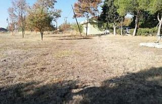 Okulda yerli tohum üretiyorlar