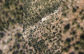 Ölüdeniz Hava Oyunları’nda paraşüt kazası:...